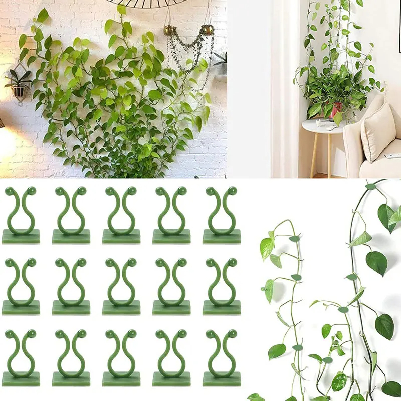 Klip tanaman merambat plant climbing wall/Klip Kait Tanaman Merambat Plant Climbing Wall Penjempit Tanaman Klem Kabel